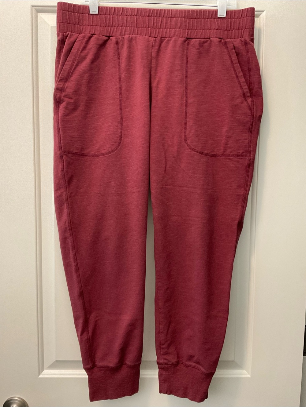 CAbi Women's Track Joggers in Brick Red
